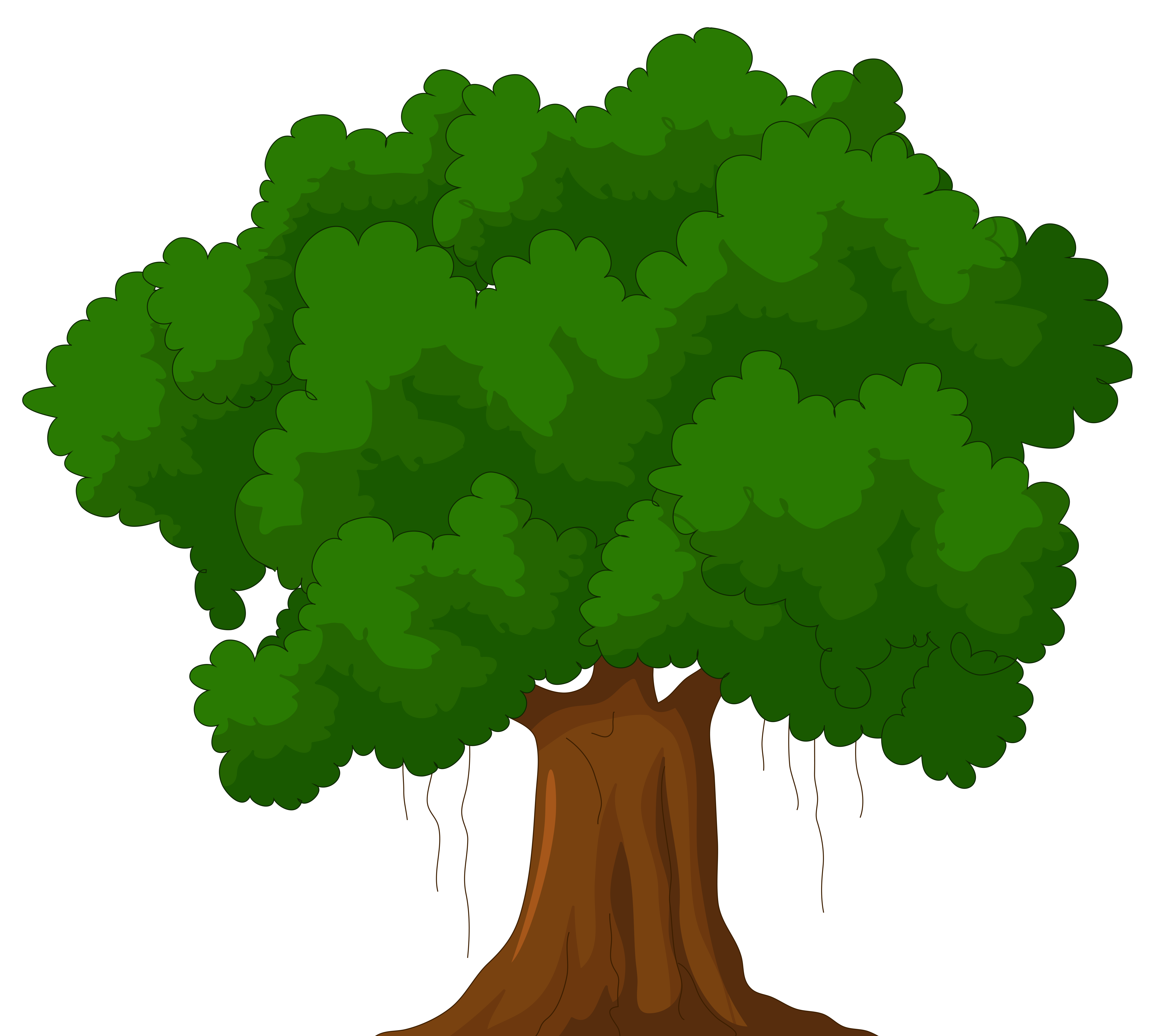 Rainforest clipart narra. Cartoon green tree png