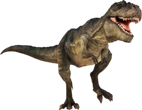 Trex clipart real dinosaur. T rex dinosaurs page