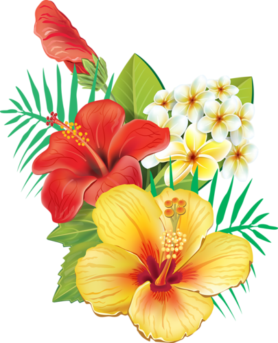  cc d b. Tropical flower png