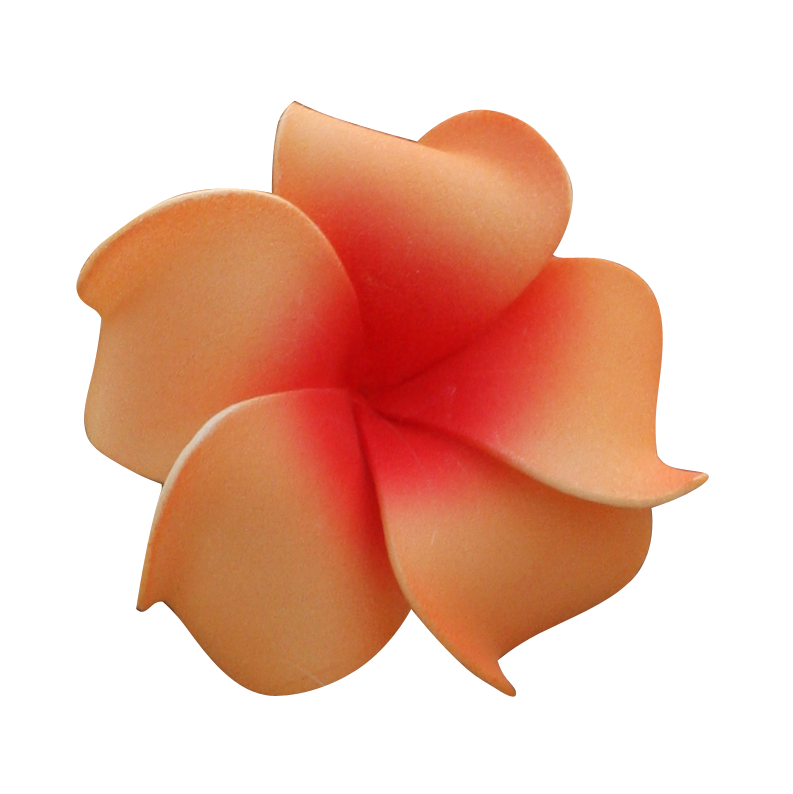 Tropical flower png. By ladyamalthea stock on