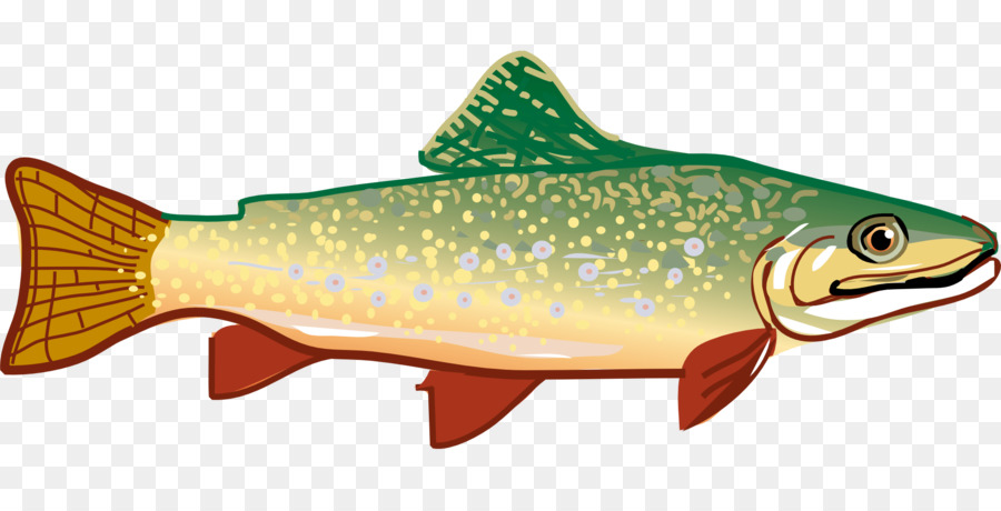 clipart fish trout