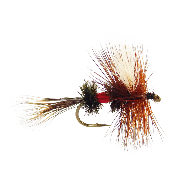 trout clipart dry fly