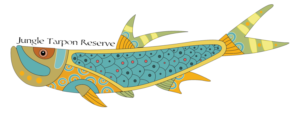 Jungle tarpon reserve costa. Trout clipart dry fly