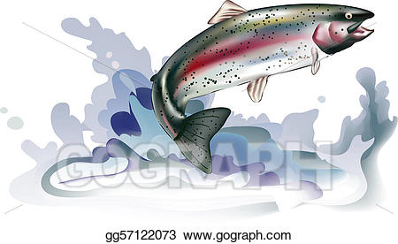 trout clipart fish splash