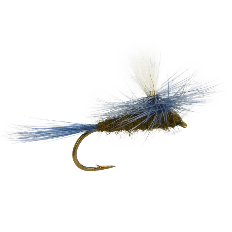 Trout clipart fly fishing flies, Trout fly fishing flies