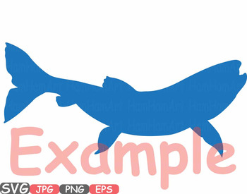 trout clipart fresh water fish