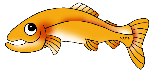 trout clipart golden trout
