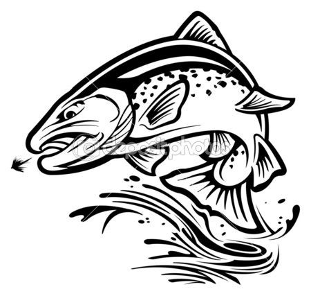 Trout clipart gray fish. Stock illustration f fly