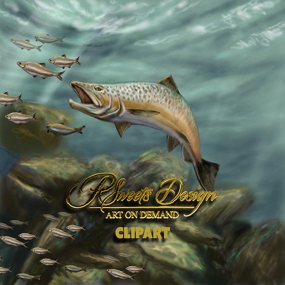 trout clipart painting