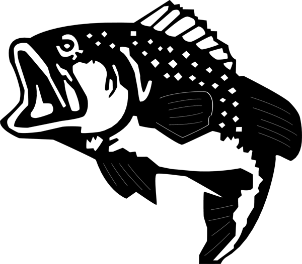 Trout clipart wide mouth bass. Fish main 