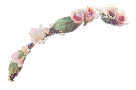 Beautiful flowers various pictures. Tumblr flower crown png