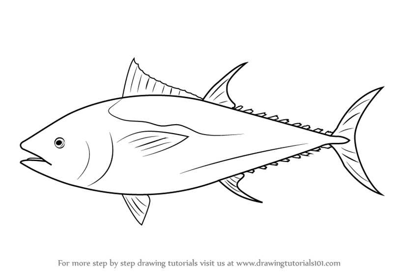 Tuna clipart drawn. Pin on fishing silhouettes