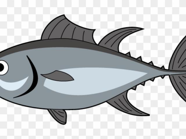 Tuna clipart edible fish. Free download clip art
