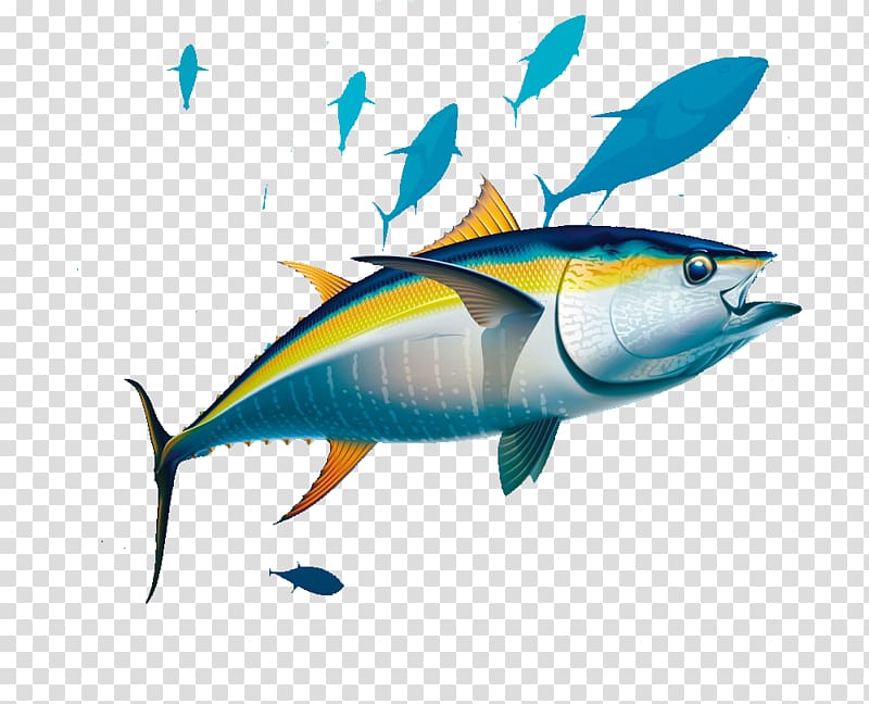Yellowfin albacore illustration seabed. Tuna clipart fresh fish