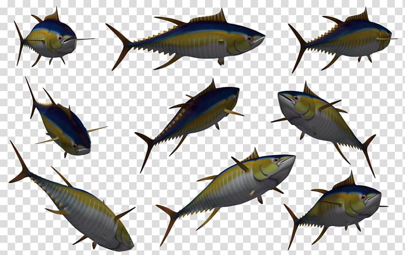 tuna clipart silver fish