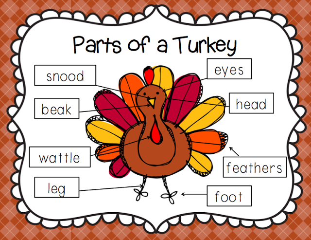 turkeys clipart kindergarten