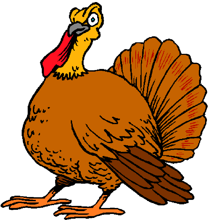 turkeys clipart muscular