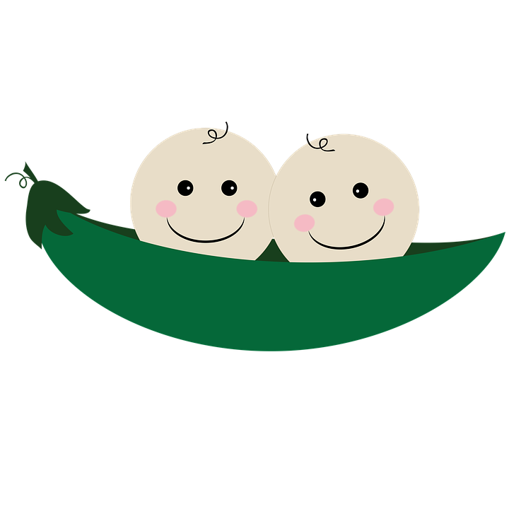 twins clipart fraternal twin