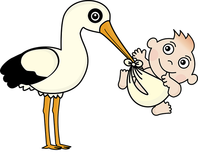 twins clipart stork