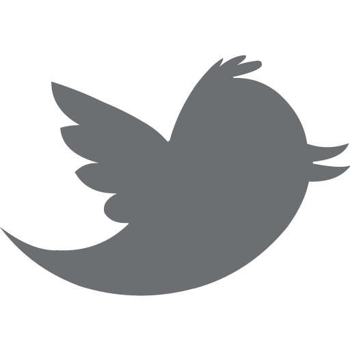 Picons social px gallery. Twitter bird icon png