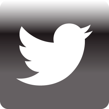 twitter icon png transparent