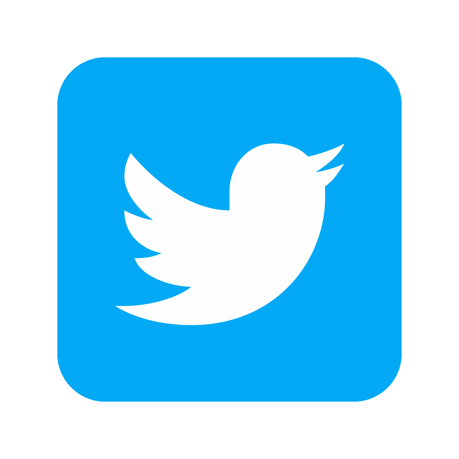 twitter icons png