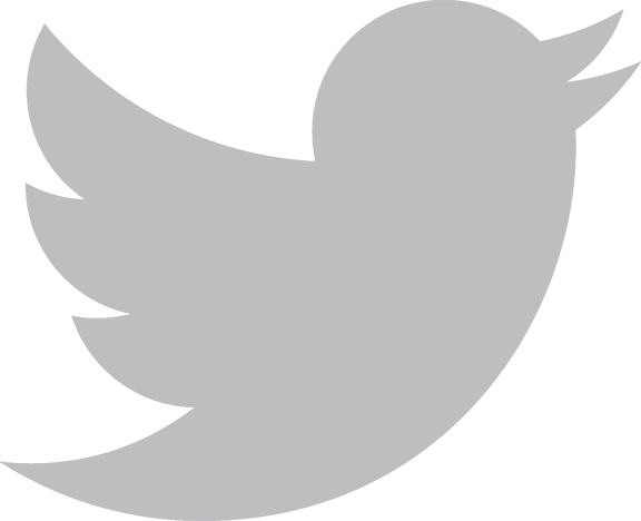 Twitter Logo Png Transparent Background Twitter Logo Png