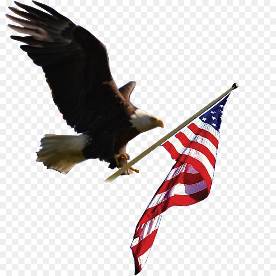 united states clipart eagle