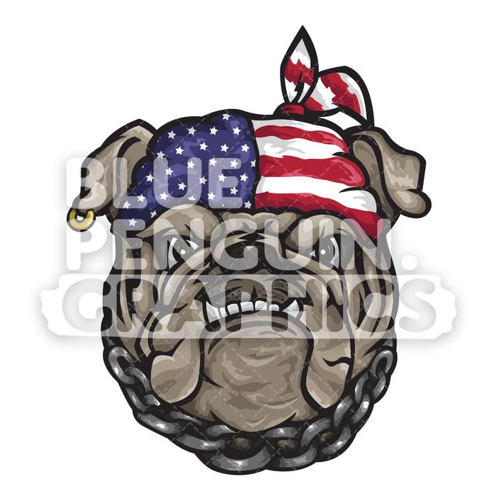 usa clipart cool