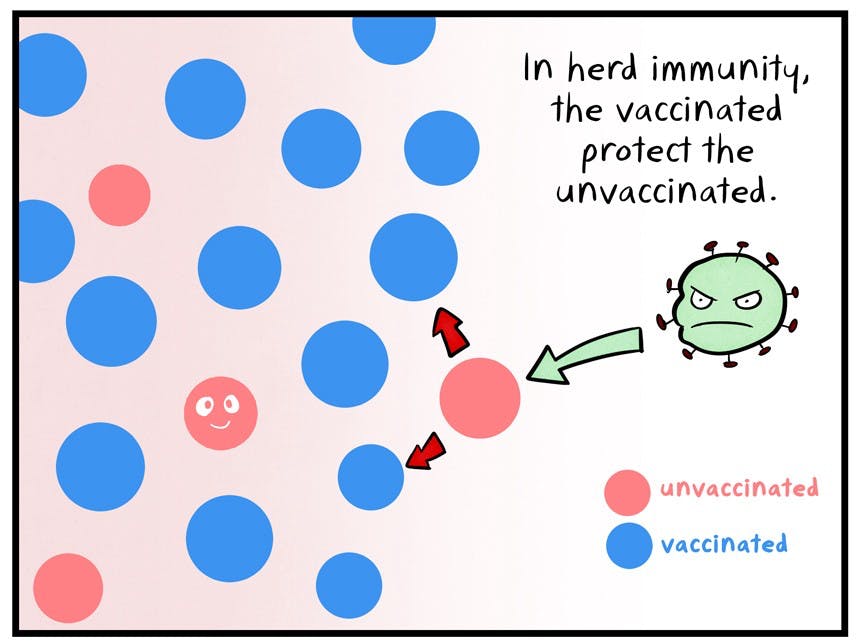 Vaccine clipart herd immunity. Vaccines work here are