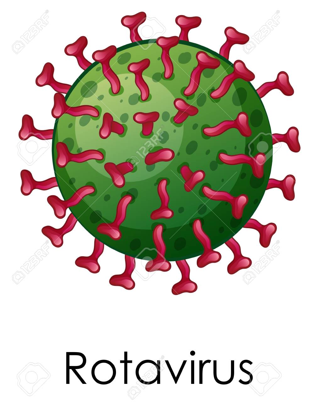 vaccine clipart rotavirus