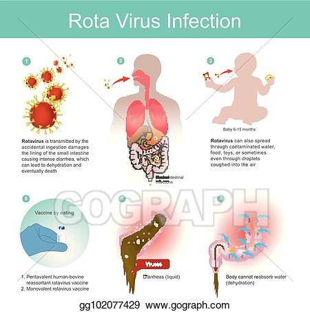 vaccine clipart rotavirus