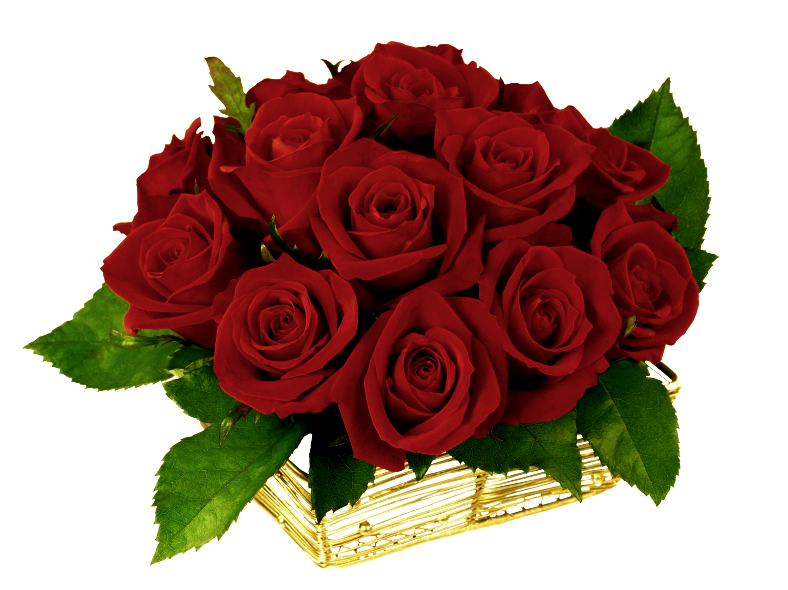 Gifs hermosos flores eencontradas. Vase clipart fresh flower