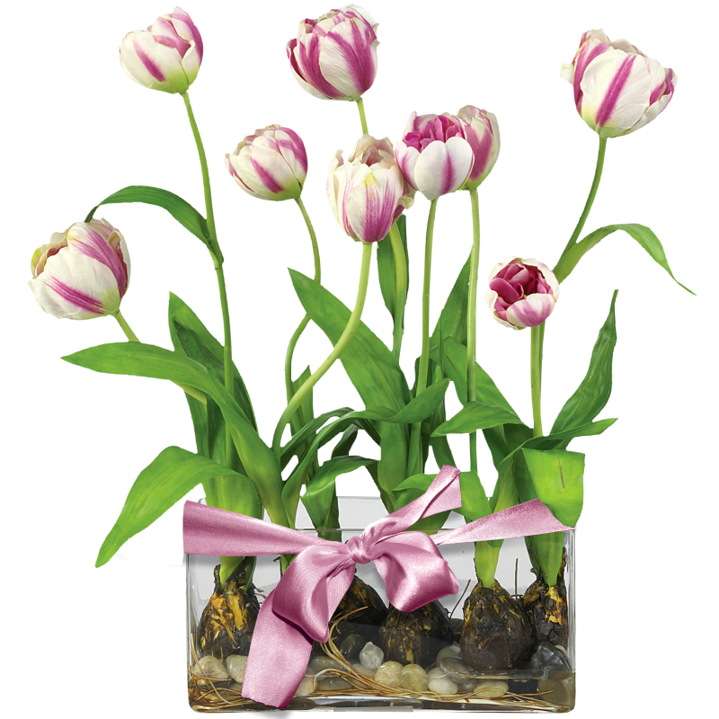  vessels pinterest tulip. Vase clipart fresh flower