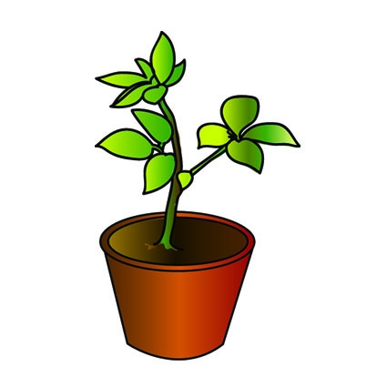 vase clipart plant