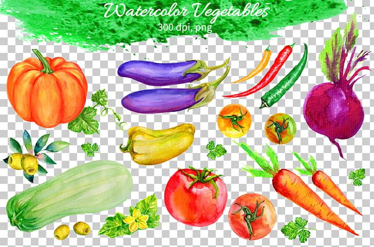 Fruit watercolor painting eggplant. Vegetables clipart common vegetable