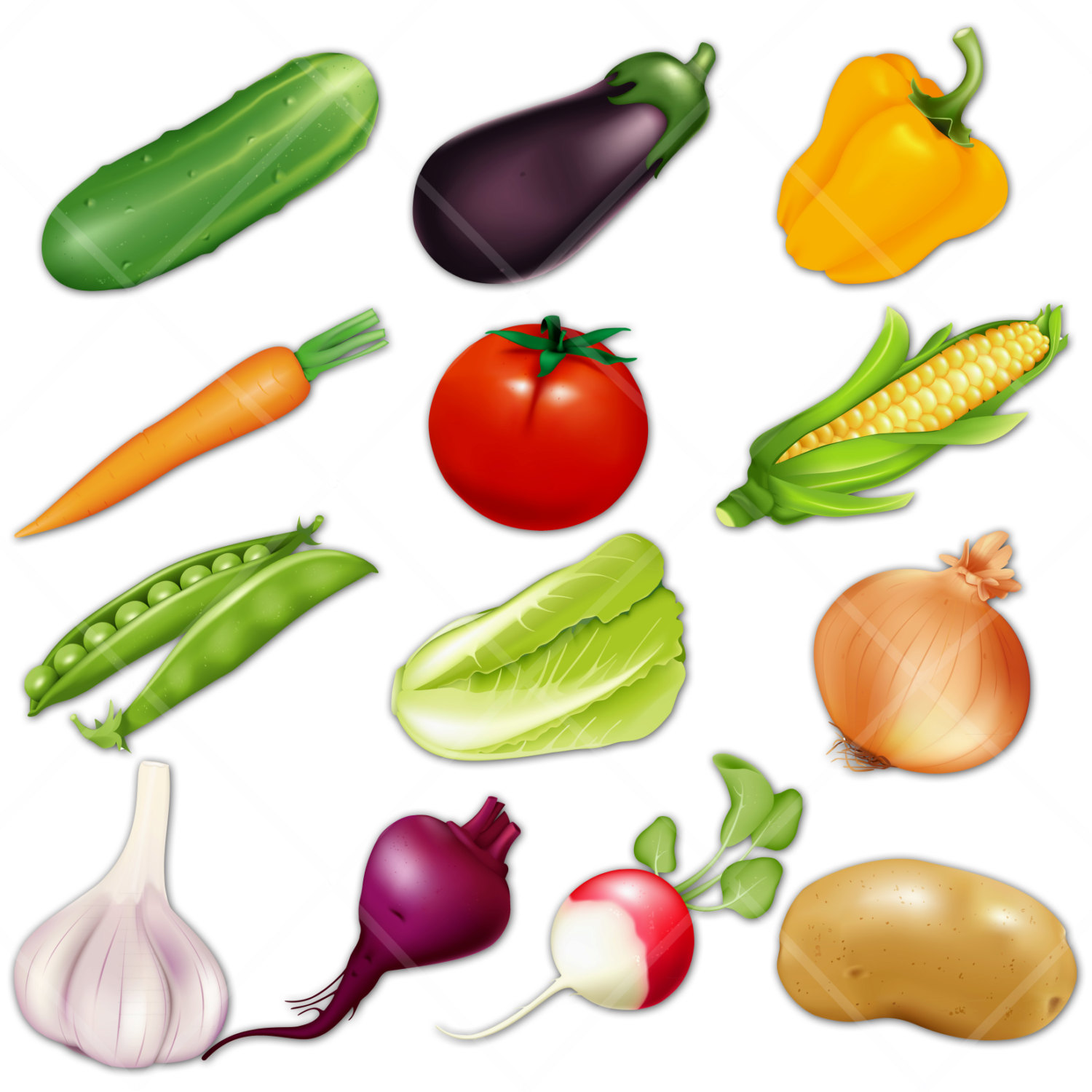 vegetables clipart easy