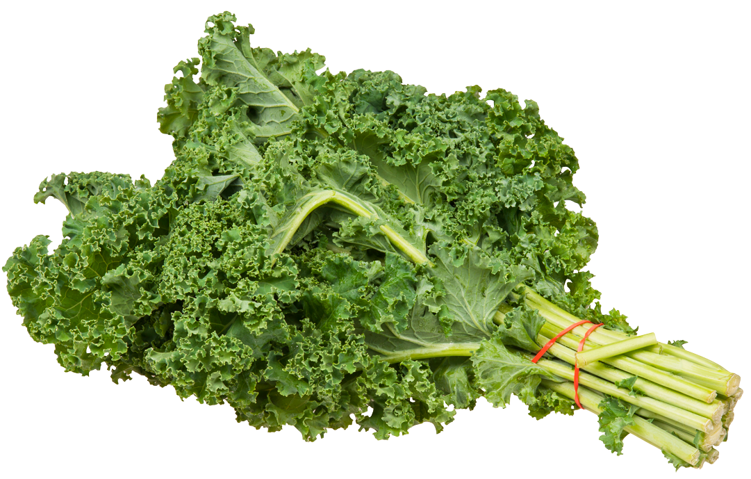 vegetables clipart kale