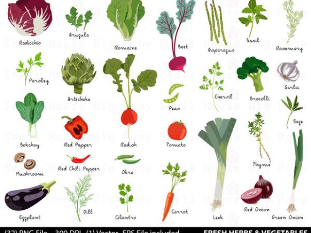 vegetables clipart name