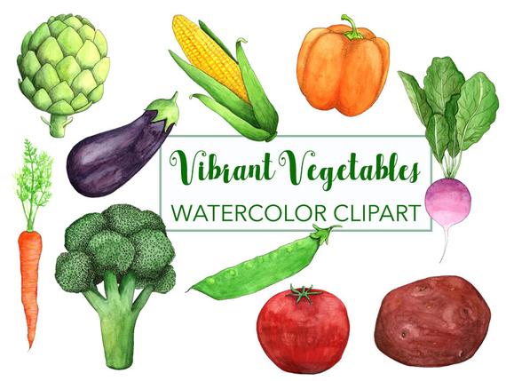 Vegetable garden digital vegan. Vegetables clipart summer