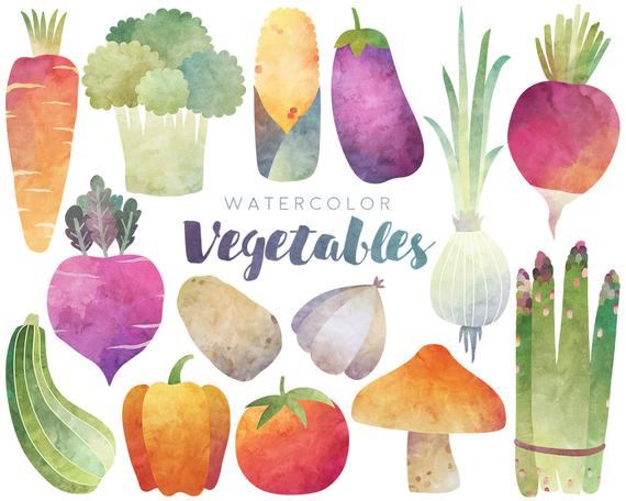Vegetables clipart watercolor. Dpi clip art set