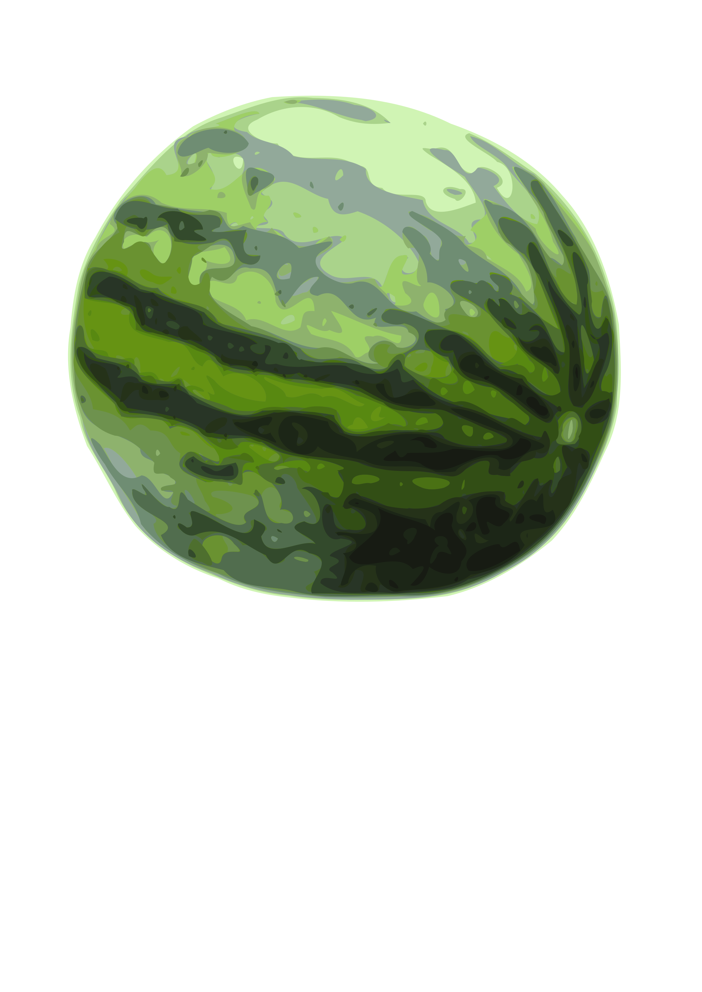 . Watermelon clipart green squash