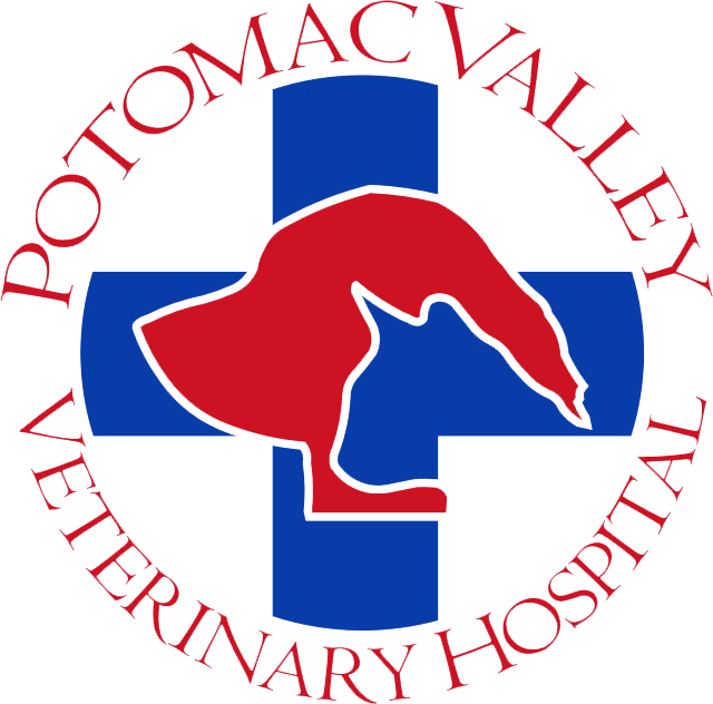 Veterinarian clipart animal caretaker. Veterinary clinic fairfax va