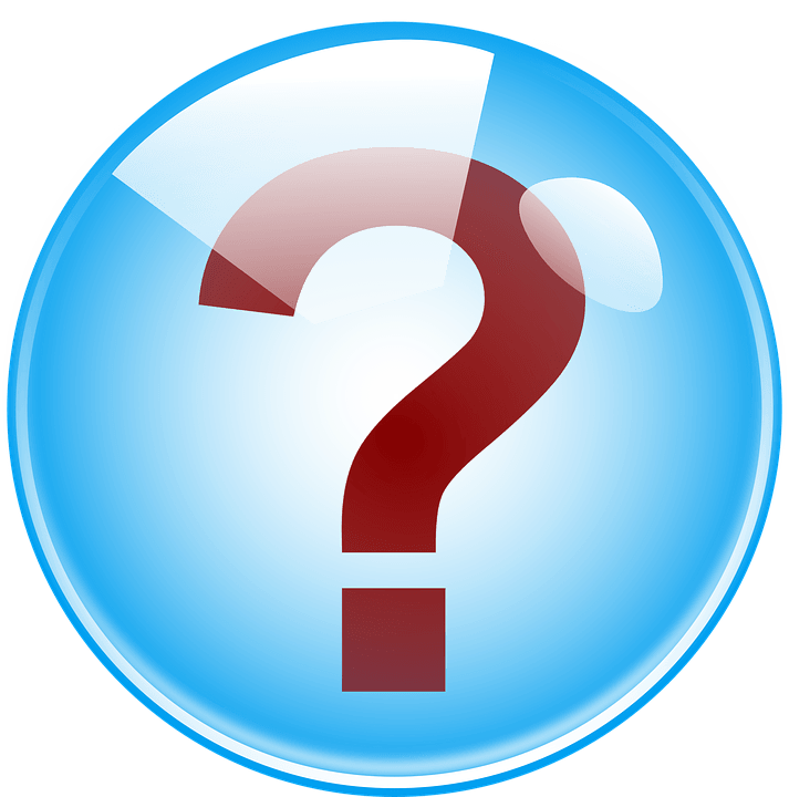 questions to ask. Veterinarian clipart checkup