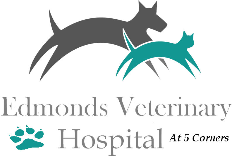 Veterinarian clipart checkup. Edmonds wa veterinary hospital