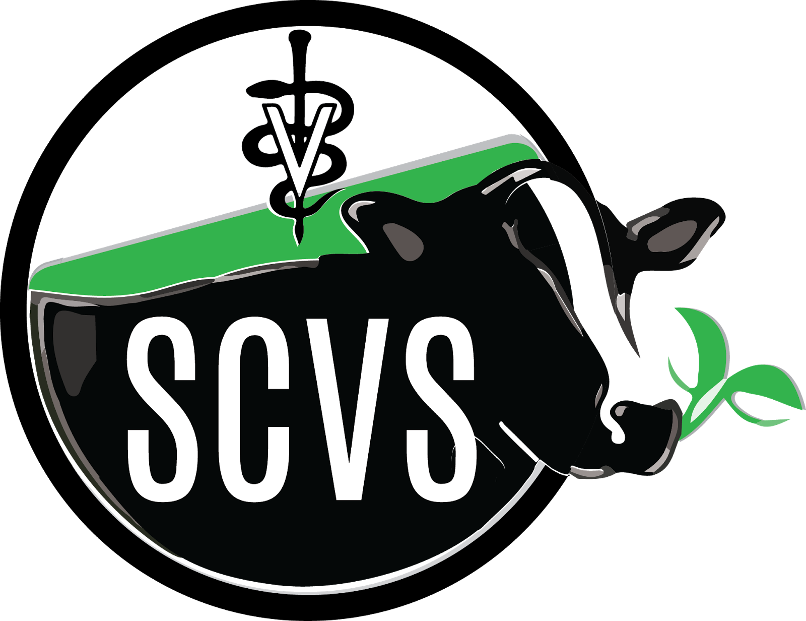 Veterinarian clipart cow. South county veterinary services