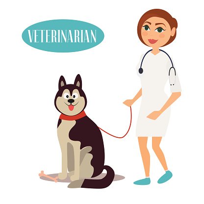 Veterinarian clipart female veterinarian. Doctor with dog premium