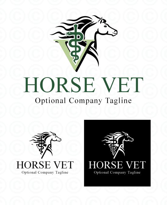 veterinarian clipart horse vet
