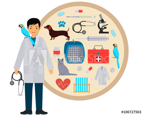 Veterinarian clipart veterinarian tool. Vet equipment and tools