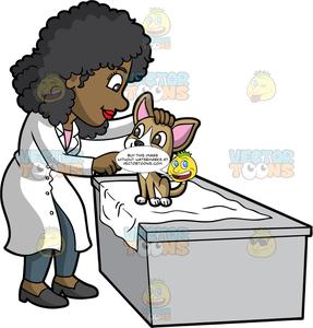 A black female veterinary. Veterinarian clipart woman